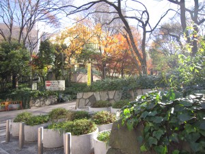 アトラスタワー西新宿　公園１