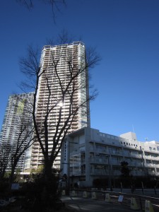 the  toyosu tower 外観2