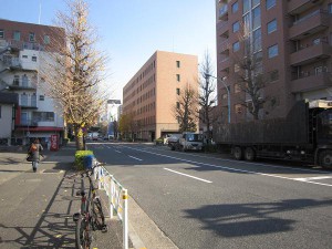 ジェントルエア神宮前　街路樹2