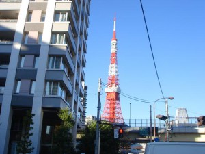サンウッド三田パークワイドタワー　外観＆東京タワー1