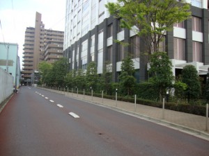 東京シーサウスブランファーレ　前面道路