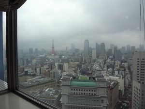 東京ツインパークスレフトウイング　眺望